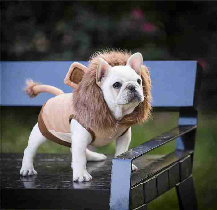 フレンチブルドッグ秋冬ライオンコスプレフレブル犬服犬服パーカー面白い耳付き暖かい帽子付き犬コスチューム小型犬中型犬犬の服かわいいおしゃれハロウィンクリスマス仮装KM169TS