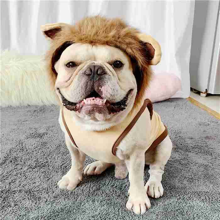 フレンチブルドッグ秋冬ライオンコスプレフレブル犬服犬服パーカー面白い耳付き暖かい帽子付き犬コスチューム小型犬中型犬犬の服かわいいおしゃれハロウィンクリスマス仮装KM169TS