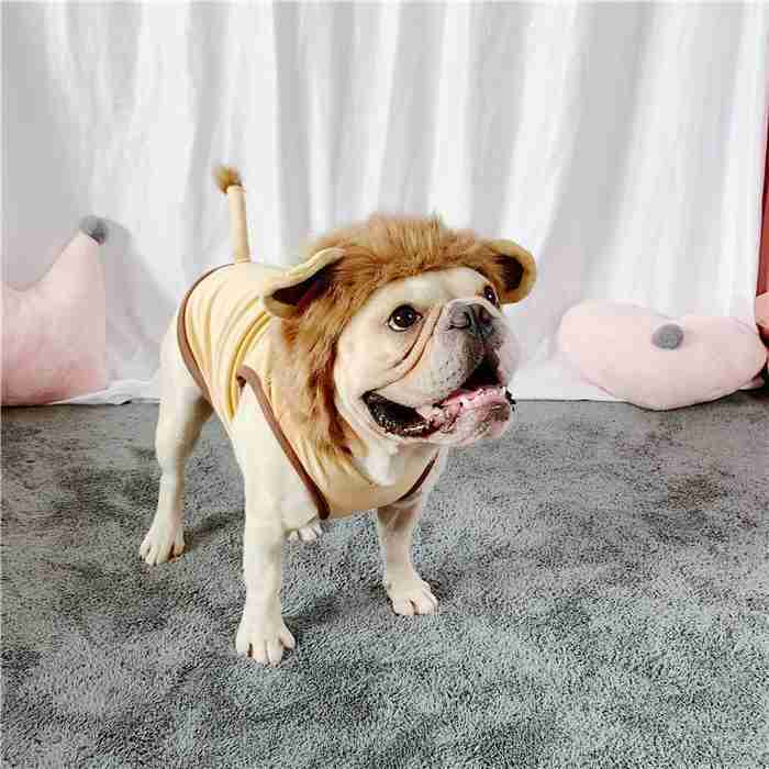 フレンチブルドッグ秋冬ライオンコスプレフレブル犬服犬服パーカー面白い耳付き暖かい帽子付き犬コスチューム小型犬中型犬犬の服かわいいおしゃれハロウィンクリスマス仮装KM169TS