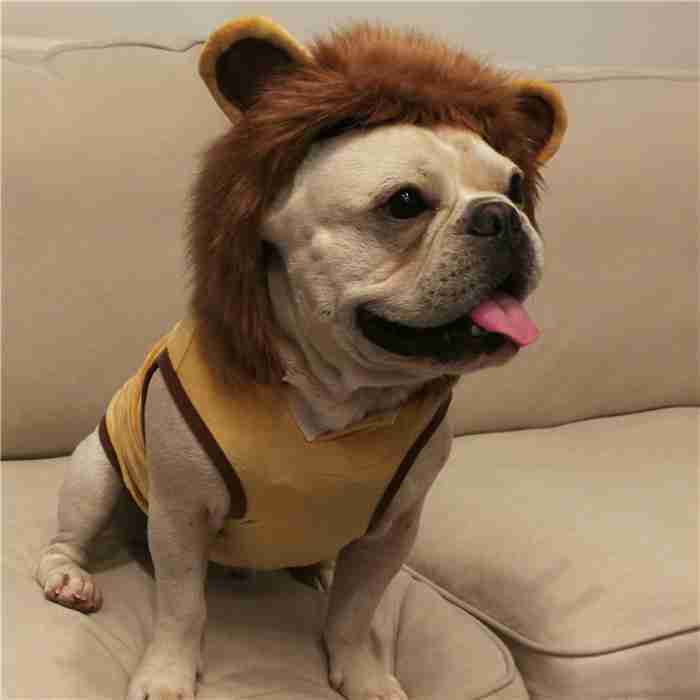 フレンチブルドッグ秋冬ライオンコスプレフレブル犬服犬服パーカー面白い耳付き暖かい帽子付き犬コスチューム小型犬中型犬犬の服かわいいおしゃれハロウィンクリスマス仮装KM169TS