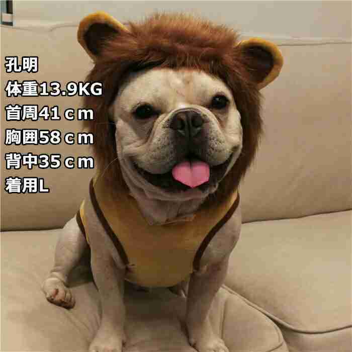フレンチブルドッグ秋冬ライオンコスプレフレブル犬服犬服パーカー面白い耳付き暖かい帽子付き犬コスチューム小型犬中型犬犬の服かわいいおしゃれハロウィンクリスマス仮装KM169TS