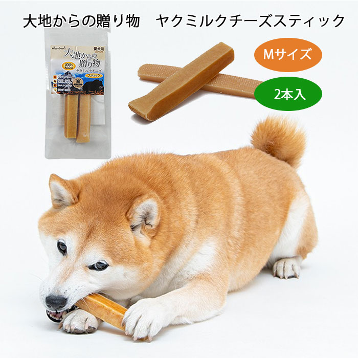 ヒマチーHappyDays大地からの贈り物愛犬用スナックヤクミルクチーズヒマラヤチーズMサイズ2本入りハードタイプスティック犬用おやつTK001G-M-2