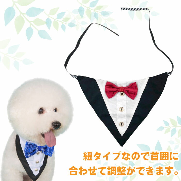 �� ĳ�ͥ����� �������� �ͥ����� �ڥå����� �ڥåȥ��å� ���硼���� ǭ Ĵ��� ������� ���������� �ե����ޥ� ��ܥ� ������ �緿�� �� �� KMG628