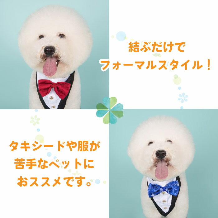 結婚式 七五三 誕生日に 犬 蝶ネクタイ 最大54 オフ スカーフ ネクタイ ペット用品 ペットグッズ チョーカー 猫 青 おしゃれ リボン タキシード 調節可 フォーマル 赤 大型犬 小型犬 Kmg628