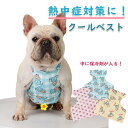 犬 夏 クールベスト 熱中症対策 ひんやりベスト 犬用 保冷剤 ベスト フレンチブルドッグ フレブル KM714G