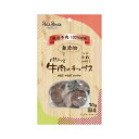 【お取り寄せ】 パリッと牛肉のチップス 70g ( 牛肉のチップス 70g ) 日本
