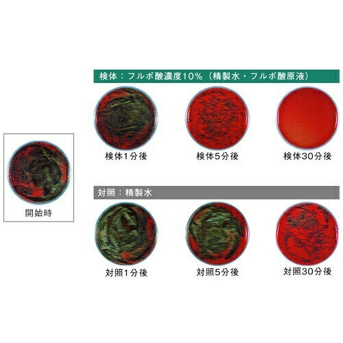 【お取り寄せ】 おくちすこやかゼリーりんご風味 30包 日本