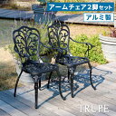 住まいスタイル アルミ製アームチェア2脚セット「トルペ」 BKS-C5289-2P チェア 椅子 スツール ファニチャー アルミ ガーデン 屋外 庭 ベランダ ...