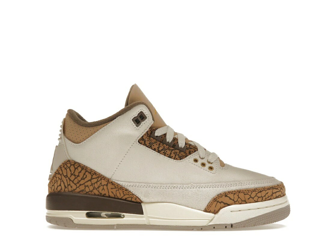 【本日限り】1000円割引クーポン発行!!Jordan Jordan 3 Retro Palomino (GS) Jordan DM0967-102 大人も履ける キッズモデル ウィメンズ レディース スニーカー ランニングシューズ キッズスニーカー ベビーシューズ 19SX-20230922215248-016