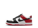 本日限り【1000円OFFクーポン】Nike ナイキ GS ダンク ロー ブラックトゥ ナイキ HF9980-600 大人も履ける キッズモデル ウィメンズ レ...