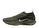 6/20【本日のみ】1000円クーポン!!Nike ナイキ ペガサス トレイル5 ゴアテックス セコイア/カーゴカーキ ナイキ HQ7494-300 メンズ ス...