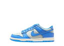 本日限り【1000円OFFクーポン】Nike ナイキ GS ダンク ロー ライトシルバー/セイル/ライトフォトブルー (キッズ) ナイキ FB9109-004 ...