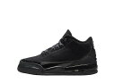 【今だけ500円割引クーポンあり!!】Nike ナイキ GS エアジョーダン3 レトロ ブラックキャット (2025) ナイキ DM0967-001 大人も履け...