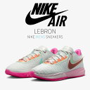 楽天セレクトショップFrenz【本日限り】1000円割引クーポン発行!!Nike Nike LeBron 20 Time Machine ナイキ レブロン 20 DJ5423-300/DJ5422-300 メンズ スニーカー ランニングシューズ 19SX-20221108143442-014