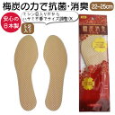 靴 中敷 インソール 消臭 吸汗 抗菌 5足 日本製 女性用 使い捨て 送料無料 ネコポス 梅炭消臭インソール レディース 22~25cm 五足組 1000円ポッキリ足の臭い 除湿 足汗を吸収 スニーカー パンプス ブーツ ヒール 備蓄 防災 フォーラル