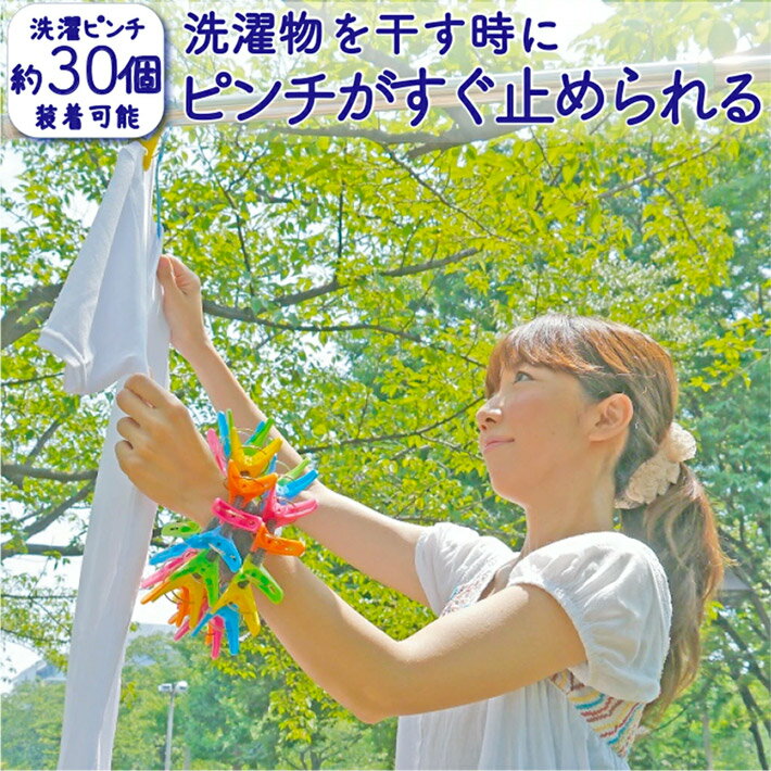 【ポイント10倍】洗濯バサミ おしゃれ 収納 ピンチ収納 まとめてピンチ 送料無料 ネコポス （ 洗濯ピンチ 用） 洗濯物 洗濯 便利グッズ 1000円ポッキリ 洗濯ばさみ まとめる フォーラル