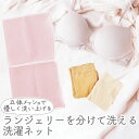 洗濯ネット ブラジャー ネット ランジェリー 下着 ストッキング 洗濯 送料無料 ネコポス 2つポケットの洗濯ネット (ランジェリー用) 立体メッシュ 優しく洗い上げる デリケート洗い フォーラル