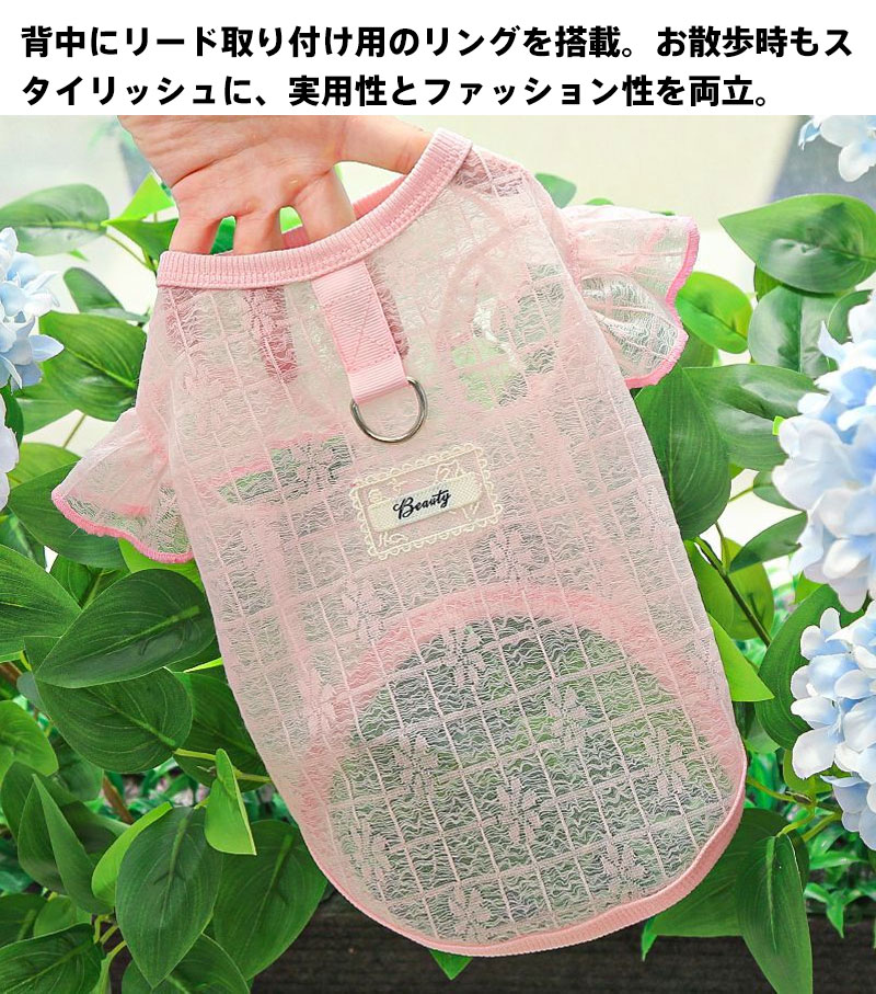 ���� �졼���ȥå� Ʃ���� �ڥå��� �̵���ȴ�� ��ܥ�µ�ե�� ����꡼�ɥ���դ� ��12������(XS~8XL) �忧/���� ������~Ķ�緿���б� ���� ������ ��ǰ�� ȩ�����ͥ���� ���Ԥߥ졼�� ���� ¬�ꥬ������ �� ���� �ɥå������� �ȥåץ� �̵�