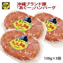 沖縄あぐー豚 豚肉 フレッシュミートがなは あぐー豚ハンバーグ 150g×3ヶ 送料別 ジューシー 肉汁たっぷり 冷凍 追加 ちょい足し 焼くだけ お手軽