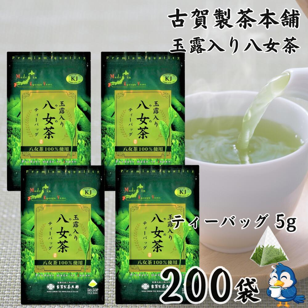 送料無料 お茶 ティーバッグ 玉露入
