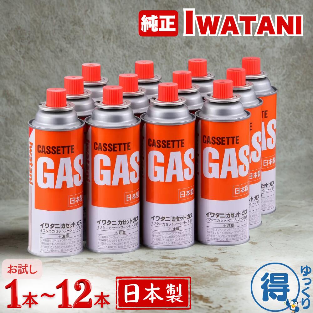 եåСɤ㤨֡ܿġ ̵ 勵 ܥ åȥ 12  1?2 CB-250-OR   ޤȤ㤤  ɺ  åȥ  ȥɥ  л ڤäꤪءۡפβǤʤ1,000ߤˤʤޤ