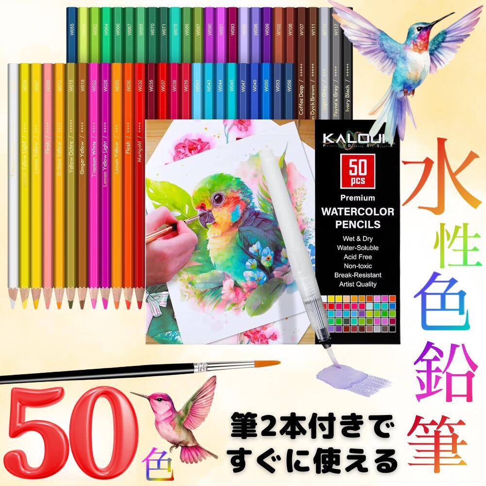 【水筆ペンと水彩ブラシ付き】 色鉛筆 50色 セット 水性色鉛筆 水筆ペン 水彩ブラシ 六角形 ソフト芯 バスウッド お絵描き 絵画 水彩画 スケッチ イラスト 学習 図工 文房具 水性 色鉛筆 送料無料のサムネイル