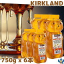 カークランド はちみつ ベアージャグ 750g x 6本 蜂蜜 シロップ コストコ