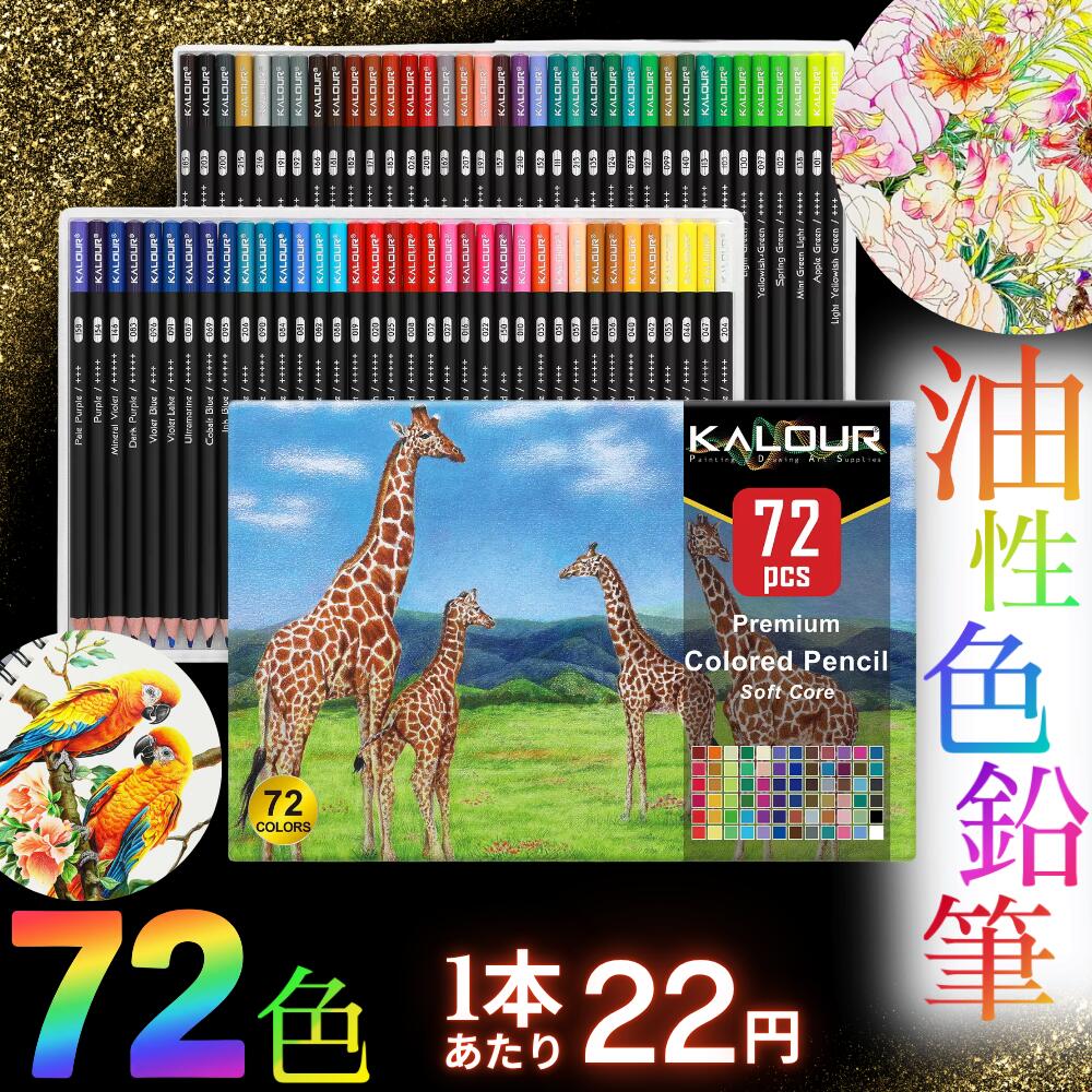 【お買得品】 色鉛筆 72色 セット 油性色鉛筆 ブラックカラー 丸形 ソフト芯 お絵描き 絵画 イラスト デッサン デザイン 設計 学習 図工 文房具