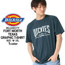【送料299円】 Dickies ディッキーズ tシャツ メンズ ブランド 半袖tシャツ 大きいサイズ メンズ tシャツ アメカジ tシャツ ロゴt ブランド ロゴtシャツ dickies tシャツ XL XXL LL 2L 3L (USAモデル)