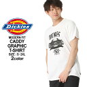 【送料299円】 Dickies ディッキーズ tシャツ メンズ ブランド 半袖tシャツ 大きいサイズ メンズ tシャツ アメカジ tシャツ ロゴt ブランド ロゴtシャツ dickies tシャツ XL XXL LL 2L 3L (USAモデル)