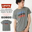 ̵ ꡼Х T Ⱦµ  礭 USAǥå֥ Levi's LevisȾµT T ᥫ 奢Wۡڥ᡼زġ