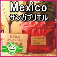 焼き立て深煎りコーヒー豆　メキシコ【サンガブリエル】保存に便利な500gパック約60杯分焼き立てコーヒー豆直送！