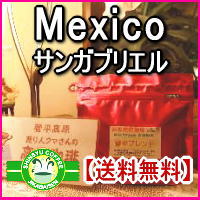 焼き立て深煎りコーヒー豆　メキシコ【サンガブリエル】保存に便利なジッパー付500g×2パック合計1Kg約120杯分焼き立…