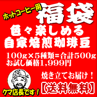 ポイント10倍♪コーヒー豆お試し★56％OFF【福袋】たっぷりホットコーヒーブレンド各100g×5パック合計500g 【送料無料】直火焙煎【grm送料無料0404】