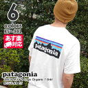 【14:00までのご注文で即日発送可能】新品 パタゴニア Patagonia 2020SS M's P-6 Logo Organic T-Shirt ロゴ オーガニック Tシャツ REGULAR FIT レギュラーフィット 38535 メンズ レディース 20SS 新作