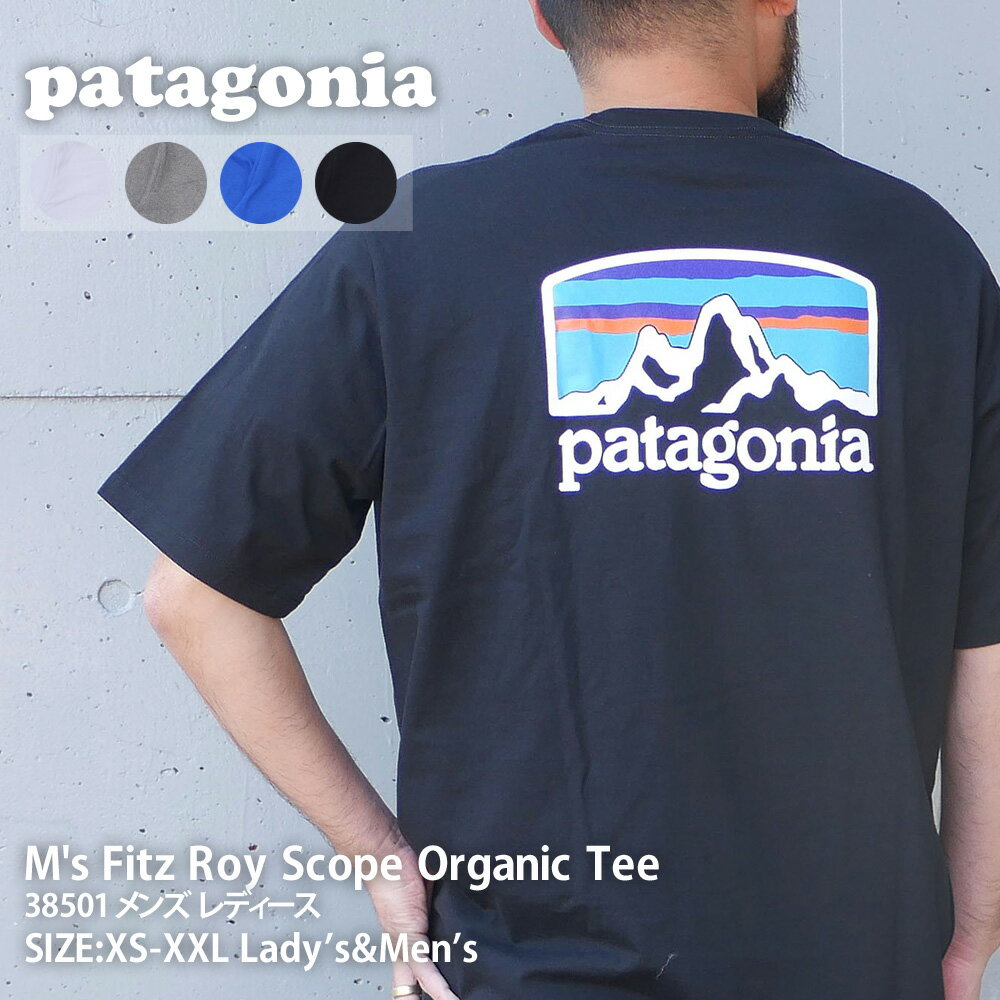 新品 パタゴニア Patagonia M's Fitz Roy Horizons Responsibili Tee フィッツロイ ホライゾンズ レスポンシビリ Tシャツ 38501 メンズ レディース