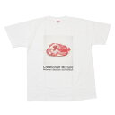 100{ۏ Vi iCebhAX UnitedAthle x Shusaku Takaoka  6.2oz. Premium T-shirt /BEEF TVc WHITE zCg  Y V