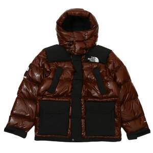 100％本物保証 新品 シュプリーム SUPREME x ザ ノースフェイス THE NORTH FACE 700-Fill Down Parka ダウン ジャケット BROWN ブラウン 茶 メンズ 新作