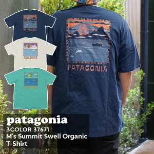 新品 パタゴニア Patagonia 23SS M's Summit Swell Organic Tee メンズ サミット スウェル オーガニックティー Tシャツ 37671 メンズ レディース アウトドア キャンプ サーフ 海 山 2023SS SP23 新作
