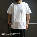 100％本物保証 新品 モンベル mont-bell Skin Cotton Tee ペアスキン コットン Tシャツ 2104689 メンズ アウトドア キャンプ 山登り ハイキング 新作