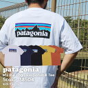 新品 パタゴニア Patagonia 21SS M's P-6 Logo Responsibili Tee P-6ロゴ レスポンシビリ Tシャツ 38504 メ...