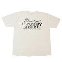 100{ۏ Vi Xe[V[ STUSSY IST PIG.DYED TEE sOg _C TVc Y V TVc