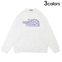 100%本物保証 新品 ザ・ノースフェイス THE NORTH FACE 店舗限定 Graphic Crew Sweat クルー スウェット NT12441R ...