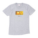 100{ۏ Vv[ Supreme 15FW Peel Tee TVc GRAY O[ D Y STCY yÁz 2015FW 334000185032 (TVc)