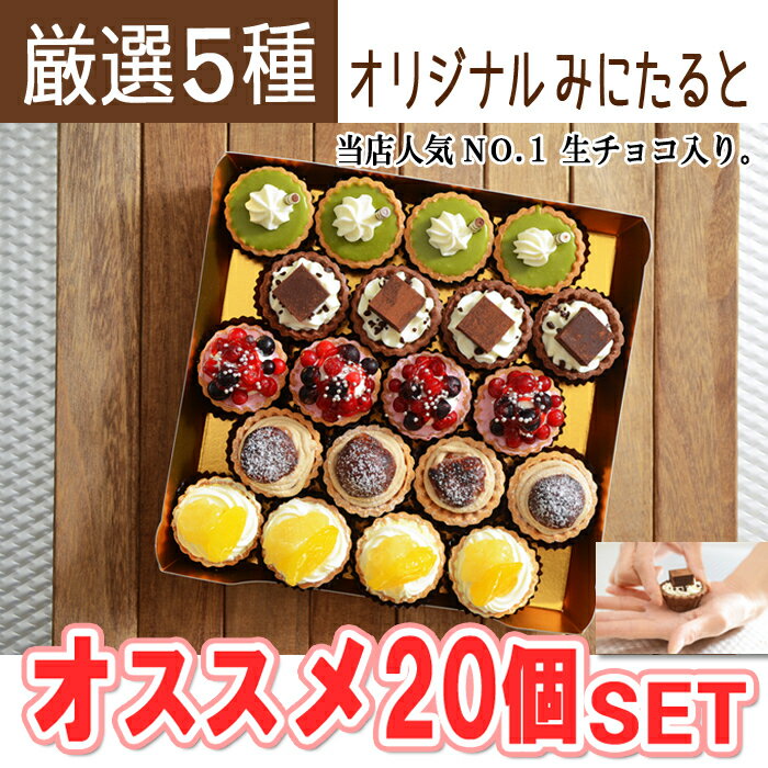 人気の生チョコ入り ミニタルトオススメ個と 不思議なのびーるレアチーズタルト5個のセットです フレッシュタルトのお店style みにたると個セットとのびーるレアチーズ タルト セット 送料無料 スイーツ デザート かわいい 人気 お得 ミニタルト ストア 映え 美味しい