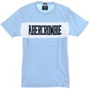 アバクロ Abercrombie Fitch ビンテージ加工 スラブ生地 アップリケロゴ Tシャツ 317 白水色