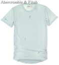 アバクロ Abercrombie & Fitch ソフト Tシャツ ブルー 344