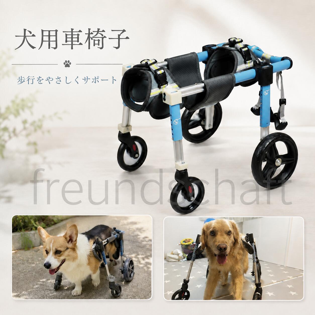 楽天市場】犬 車椅子 前足の通販