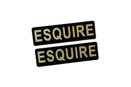 EE-537-3 ESQUIRE 黒金 アクリル2層 ステッカー トヨタ エスクァイア カスタム 前期 後期 モデリスタ 2枚1セット