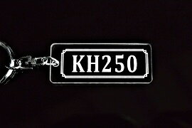 A-719 KH250 アクリル製 クリア シルバー2重リングオリジナルキーホルダー
